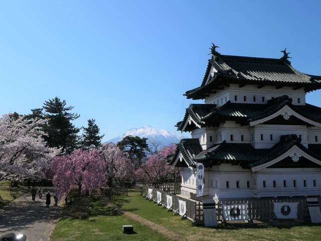 2.  弘前公園 (弘前城)の桜 / 青森県