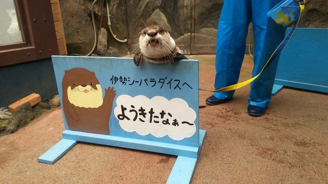 かわいい生き物に会える「伊勢夫婦岩ふれあい水族館(伊勢シーパラダイス)」