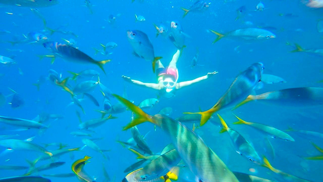 ビッグ ドロップオフ