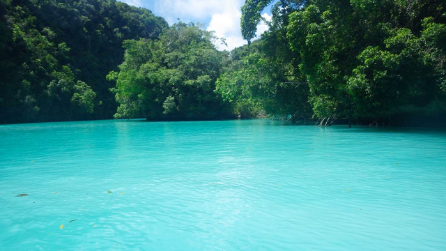 ミルキーウェイ