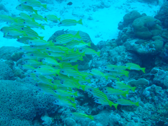 ジャーマンチャネル