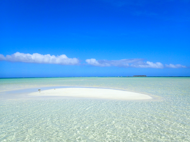 マイクロ ビーチ