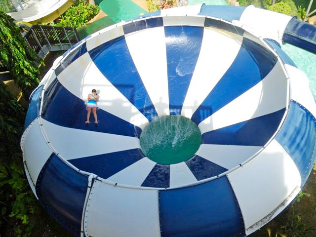 ウェーブ ジャングル