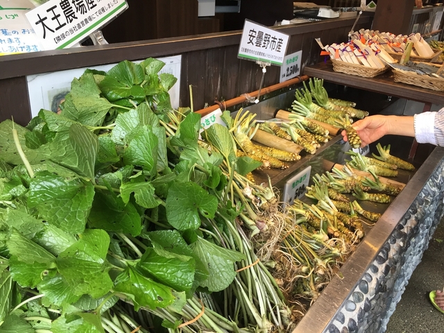 信州安曇野の特産！ 「生わさび」やわさびを使った「わさび漬け」