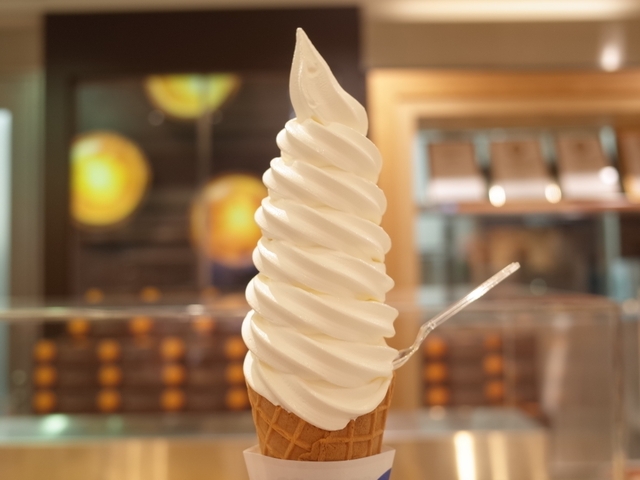 焼きたてチーズタルト / きのとや