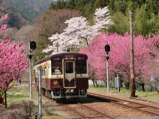 わたらせ渓谷鐵道