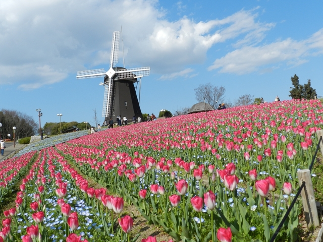 花博記念公園鶴見緑地 / 大阪