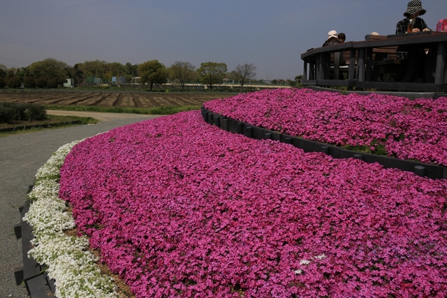 和泉リサイクル環境公園 / 大阪