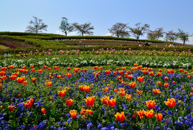 馬見丘陵公園 / 奈良