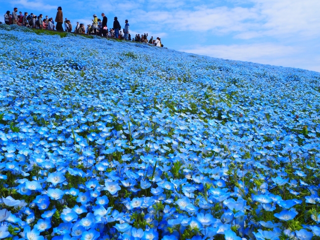 美しい景色に癒やされよう♪