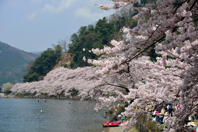 海津大崎 / 滋賀