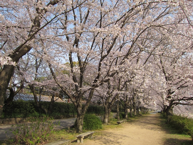 岡山後楽園 / 岡山