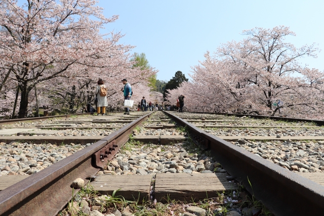 蹴上インクライン / 京都