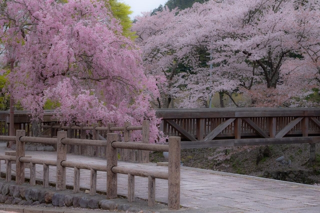 和らぎの道 / 京都