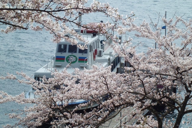 海津大崎 / 滋賀