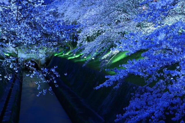 琵琶湖疎水 / 滋賀・京都