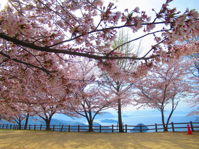 紫雲出山 / 香川