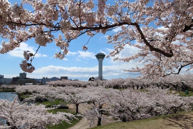 五稜郭 / 北海道
