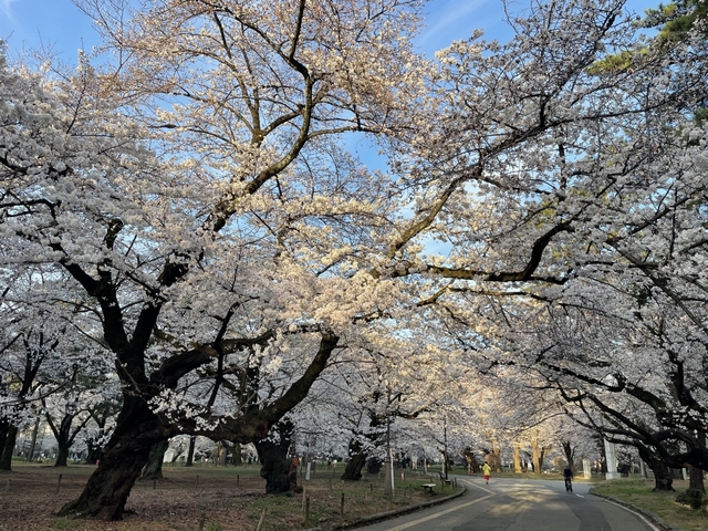 大宮公園 / 埼玉