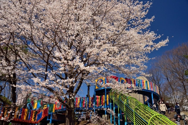 八幡山公園 / 栃木