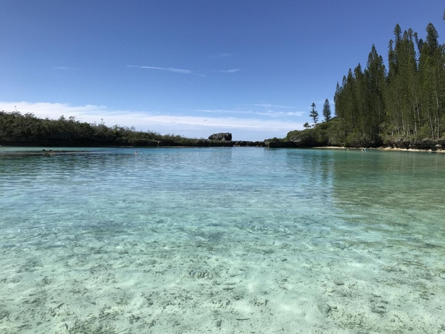 ピッシンヌ ナチュレル