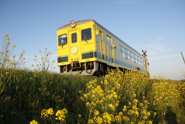いすみ鉄道と小湊鉄道 / 千葉