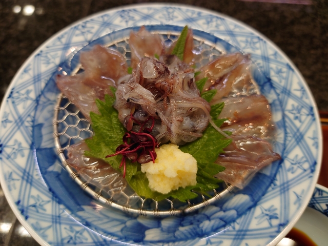 ホタルイカ / 富山