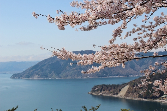 いかがでしたか？