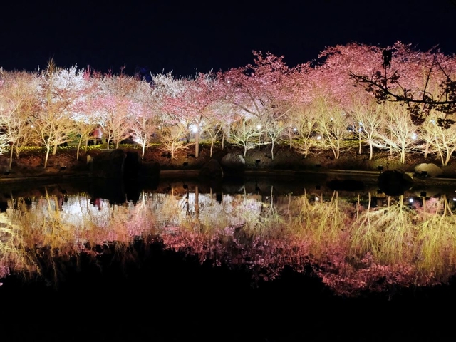 6. なばなの里 / 三重県