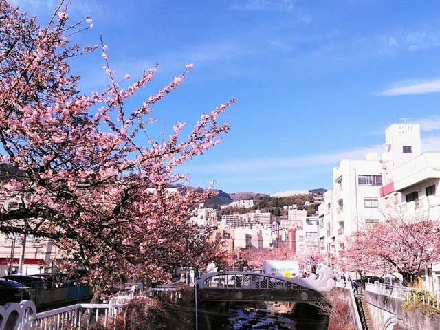 7. 糸川遊歩道 / 静岡県