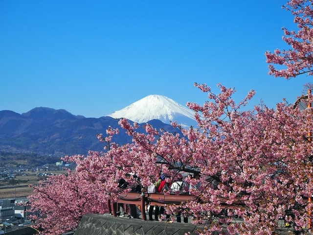 1. 今帰仁城跡 / 沖縄県