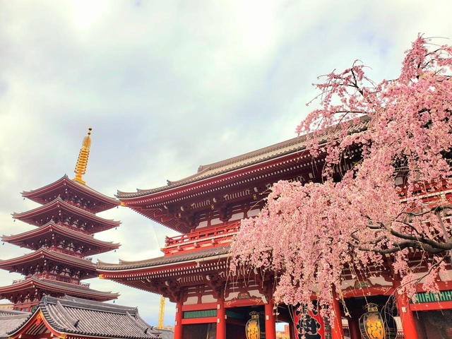 10. 浅草寺・隅田川 / 東京都