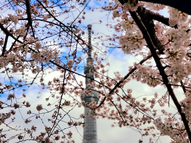 10. 浅草寺・隅田川 / 東京都