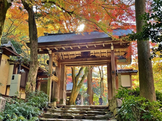 おすすめスポット3. 瑞宝寺公園(ずいほうじこうえん)