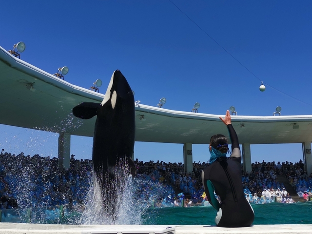 鴨川シーワールド