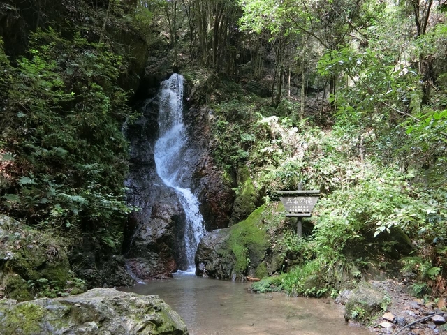 8. 日和田山 / 埼玉 / 秋