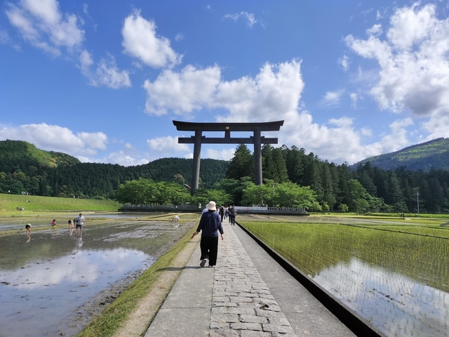 4. 自然崇拝を起源とする神域「熊野三山」