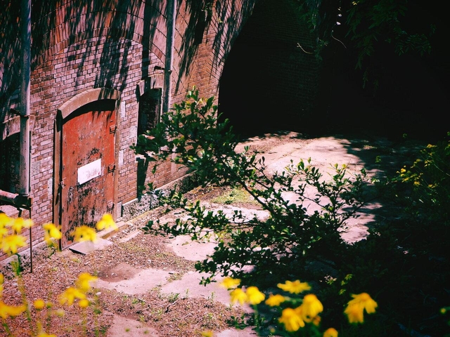 和歌山のおすすめ観光スポットはいかがでしたか？