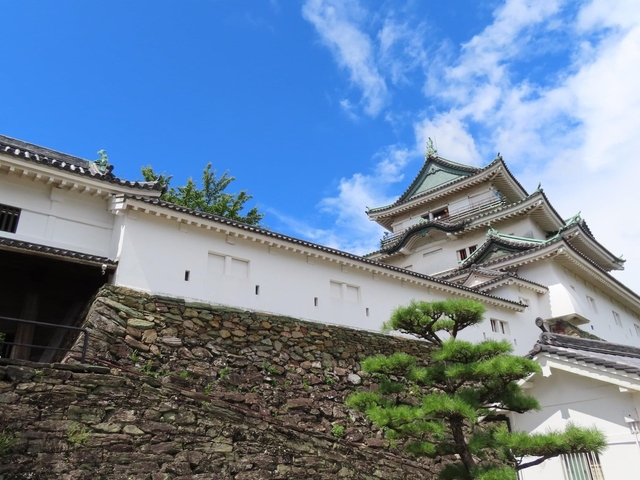 12. 和歌山の街を望む白亜の天守閣「和歌山城」