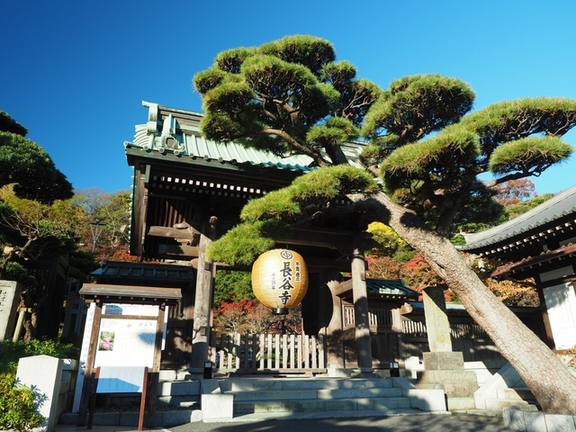 長谷寺(長谷観音)