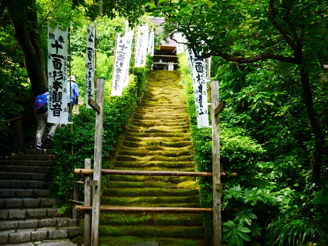 杉本寺