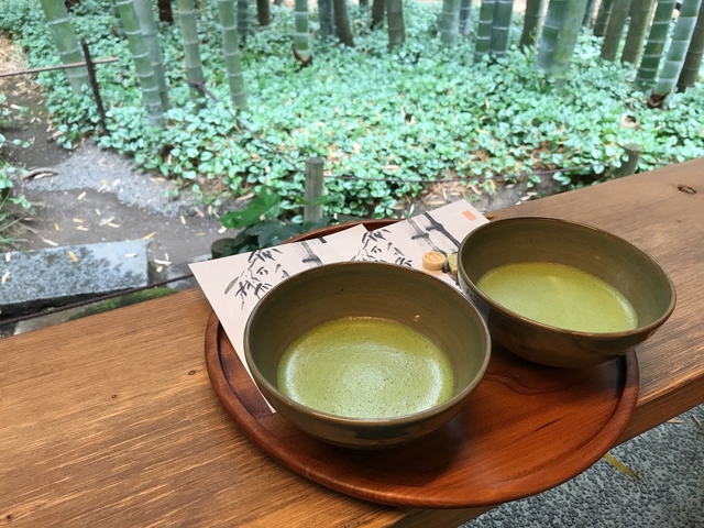 鎌倉のおすすめスポットはいかがでしたか？