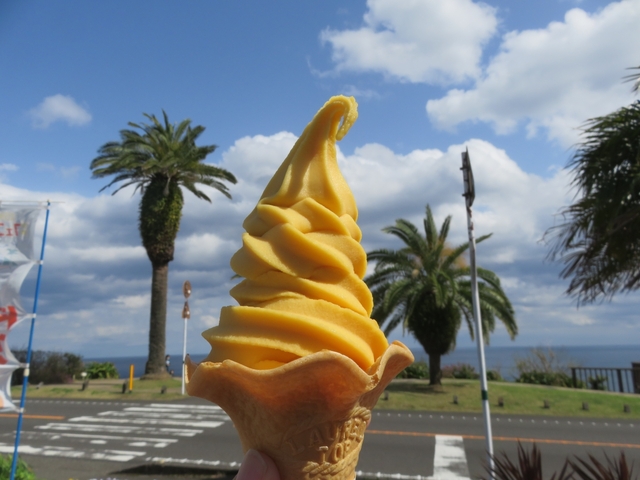 9. 道の駅 フェニックス / 宮崎市