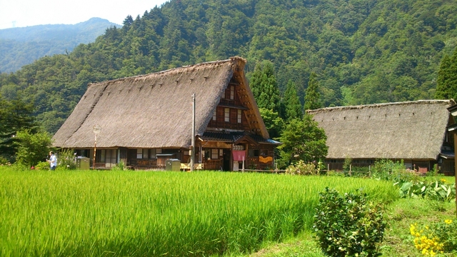 菅沼合掌造り集落