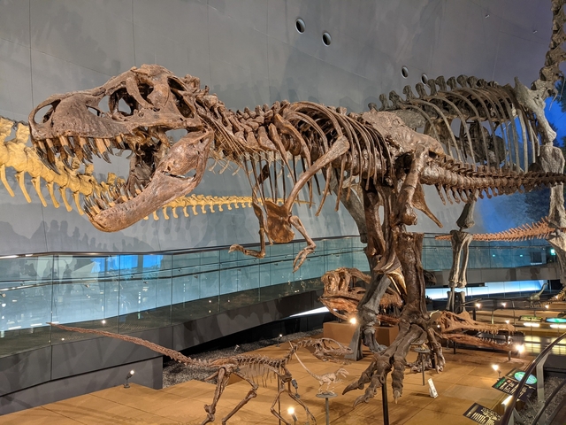 福井ってどんなところ？