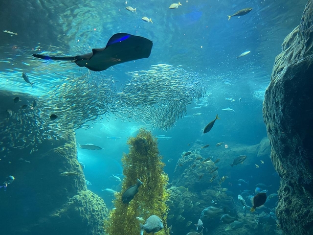 新江ノ島水族館