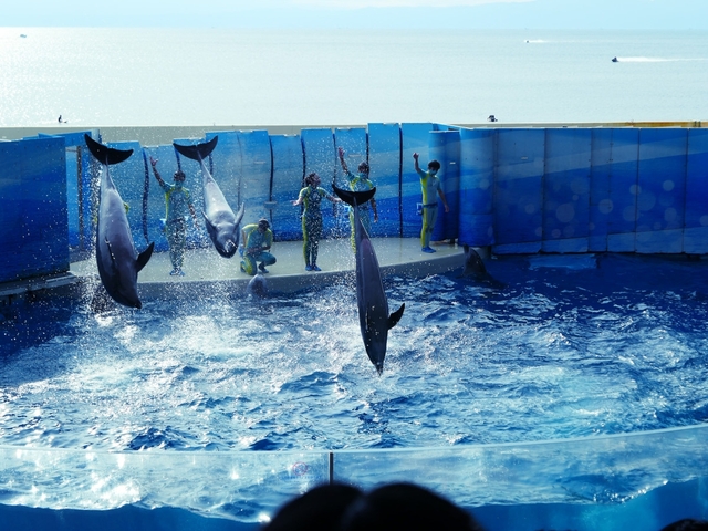 新江ノ島水族館