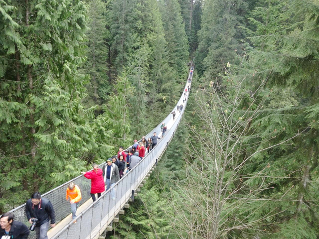 キャピラノ吊り橋