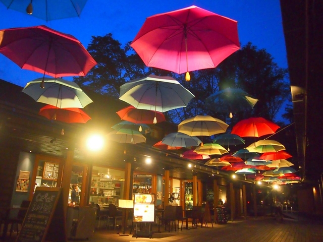 ハルニレテラス