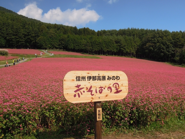 赤そばの里